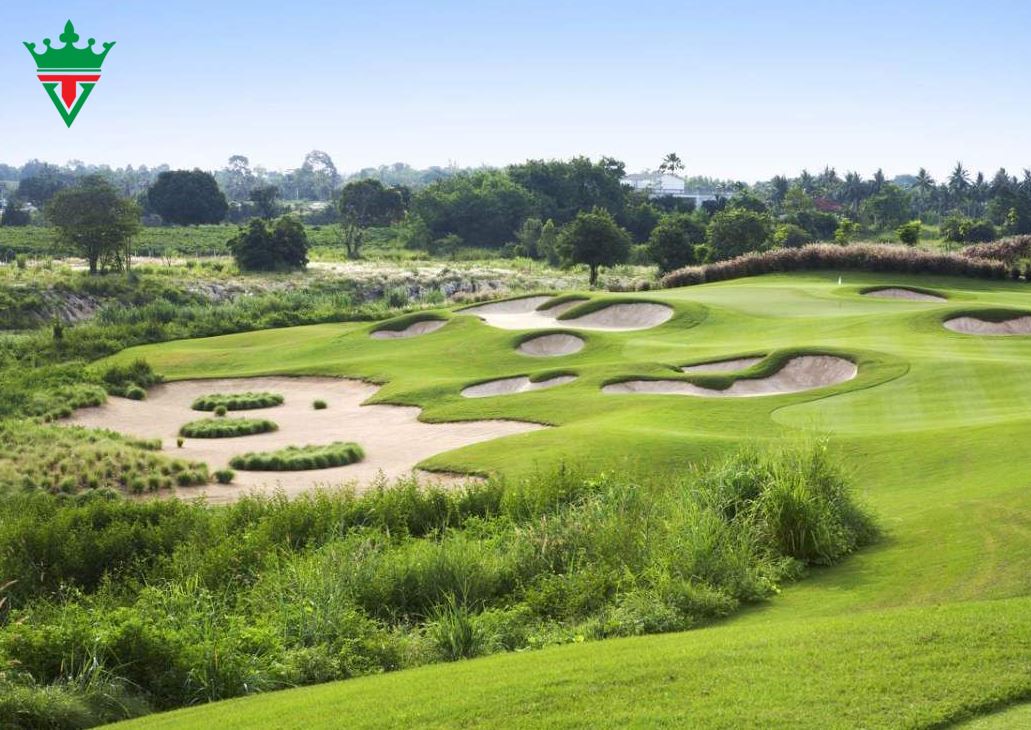 bat-dong-san-khu-cong-nghiep-sonadezi-7 (1)