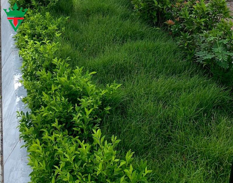 quy-hoach-dat-cho-cong-trinh-cong-cong-tai-thi-tran-ngai-giao-1