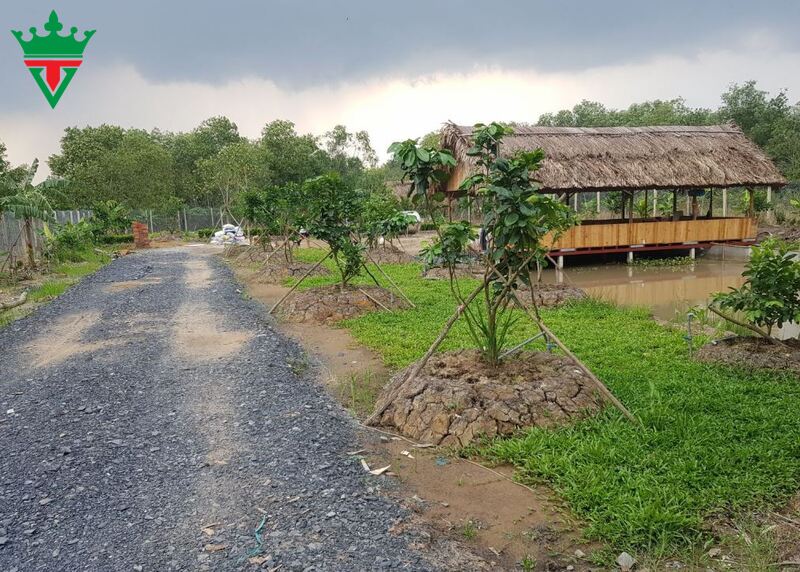 quy-hoach-dat-o-nha-vuon-tai-thi-tran-ngai-giao-2