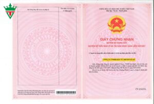 phap-ly-metro-star-1