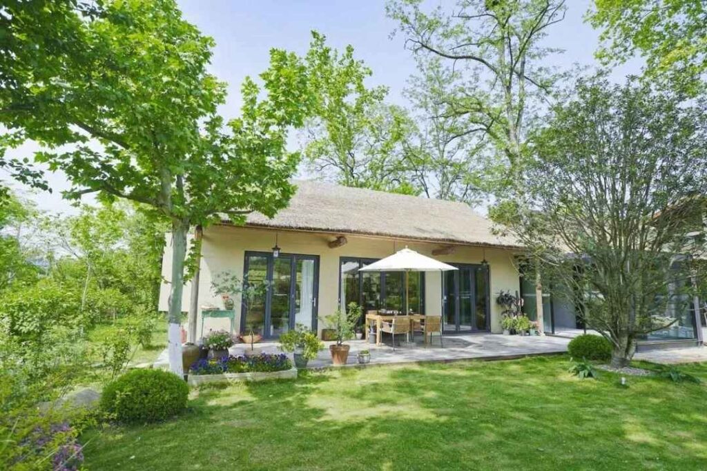 chuyen-gia-an-cu-dat-do-hcm