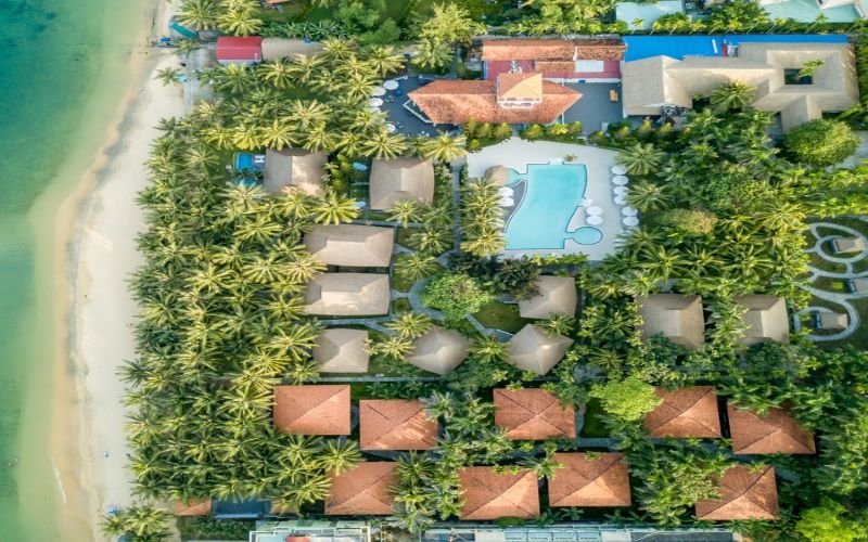 dau-tu-cho-thue-tai-dat-do-hcm