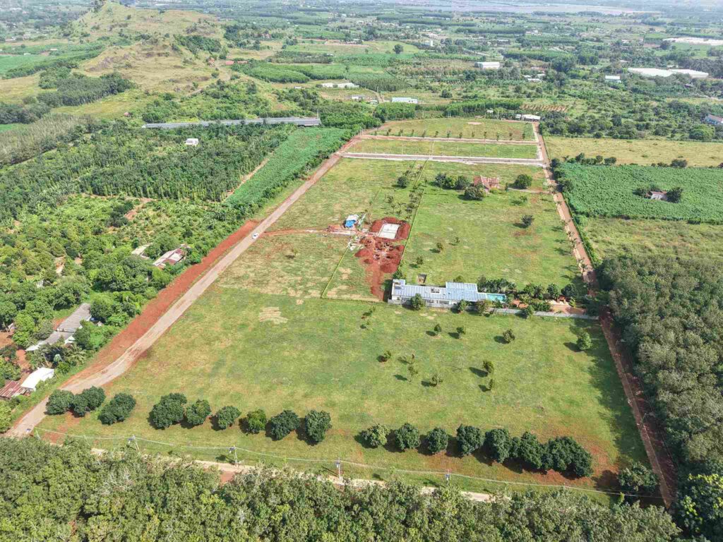 gia-dinh-tre-an-cu-xanh-dat-do-hcm