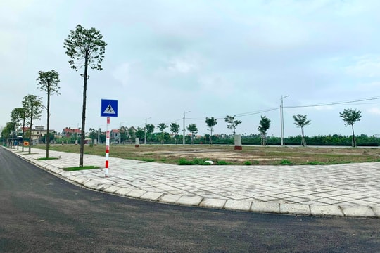 gia-dinh-tre-an-cu-xanh-dat-do-hcm