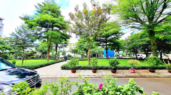 ha-tang-dat-do-but-toc-suc-hut-di-dan-2025