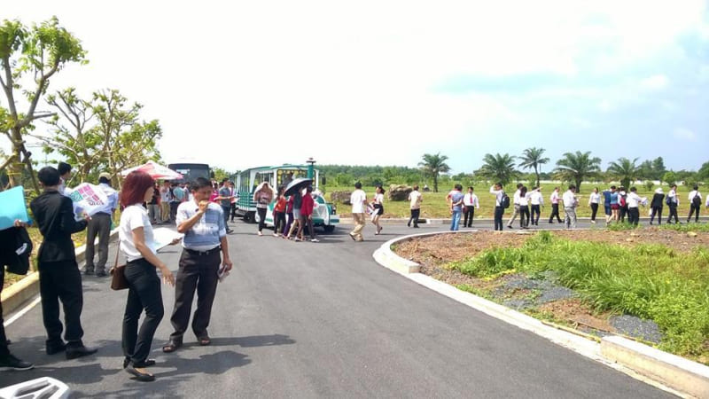 nha-dau-tu-ha-noi-tphcm-san-dat-do