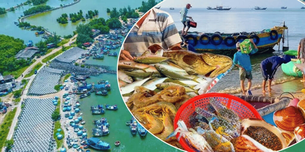 so-sanh-gia-dat-ba-ria-vung-tau